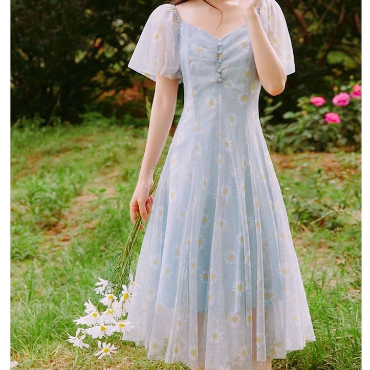 Soft Girl Cottagecore Fairy Dress
